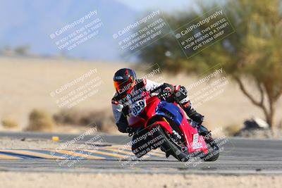 media/Jan-14-2024-SoCal Trackdays (Sun) [[2e55ec21a6]]/Turn 4 Tree of Life (155pm)/